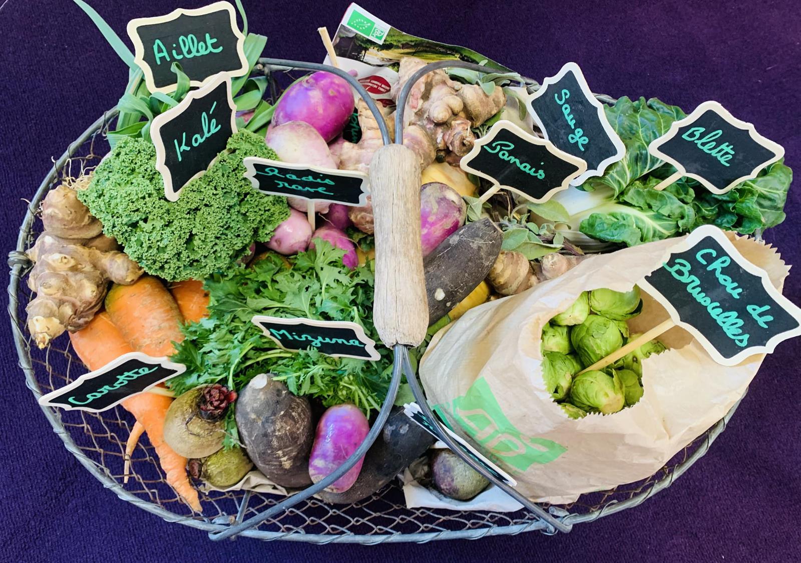 Panier de légumes bio