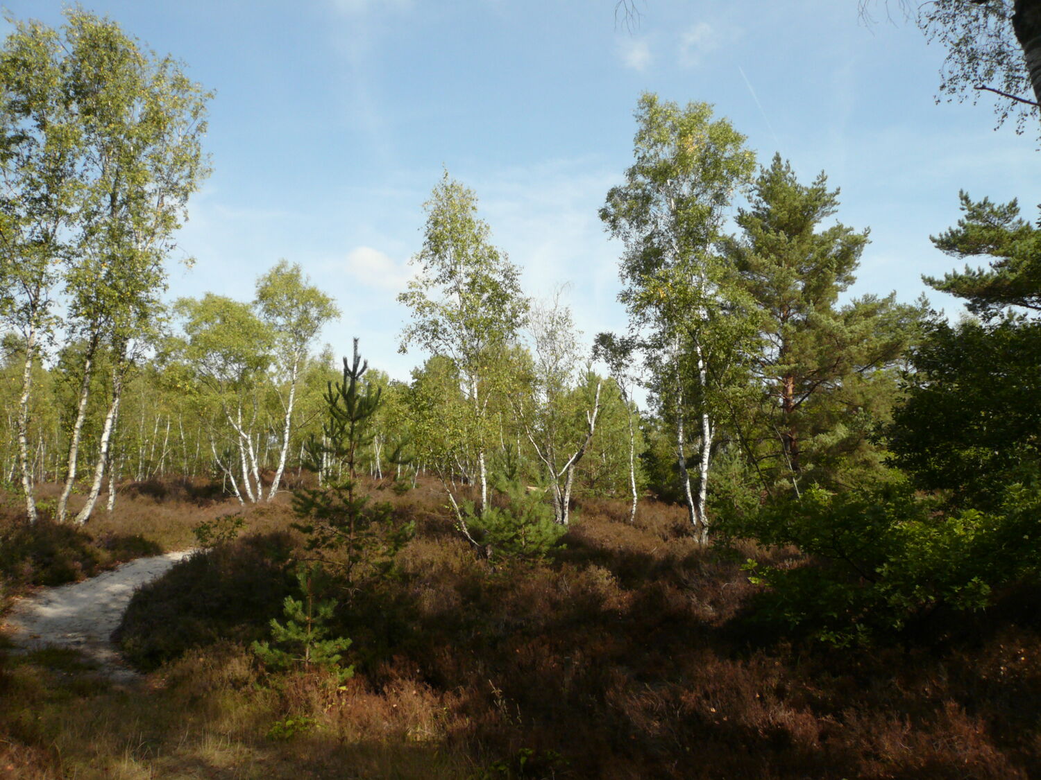 Le parcours nature de Lévignen, Lévignen - photo 3