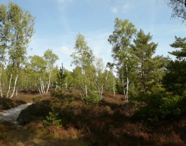 Parcours_Levignen