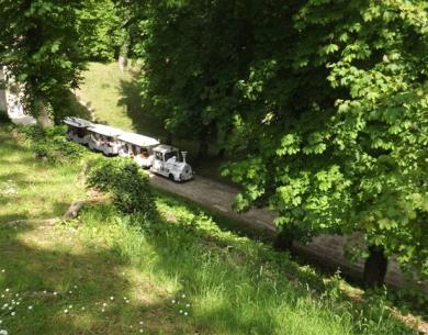 Petit train