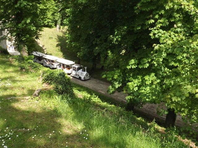 Petit train