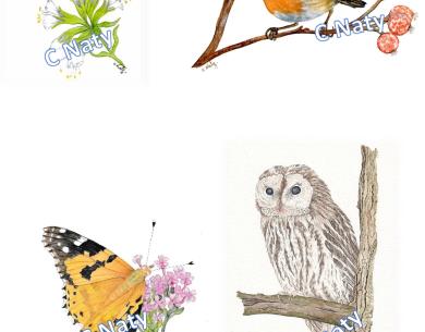 Aquarelle C Naty 2