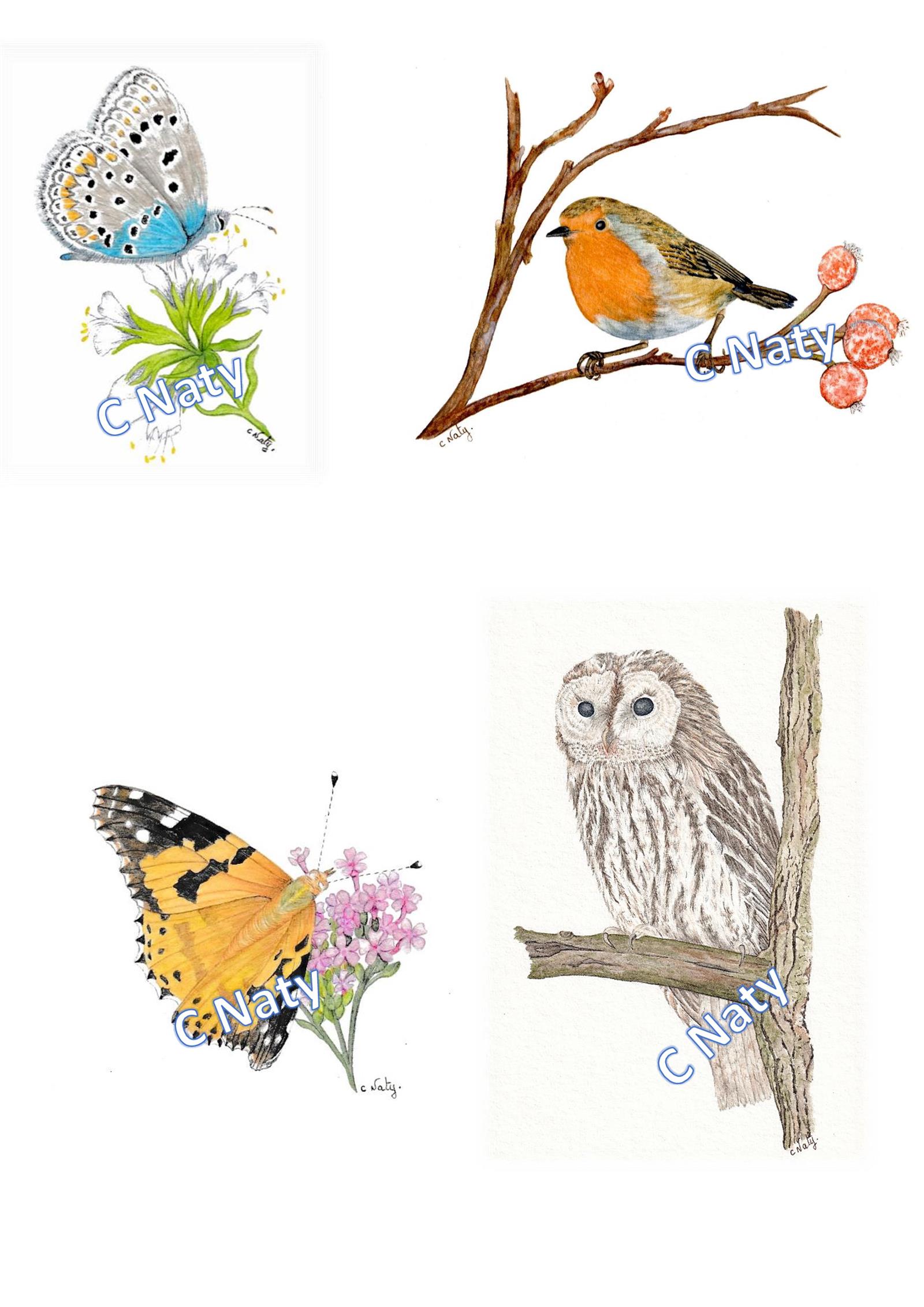 Aquarelle C Naty 2