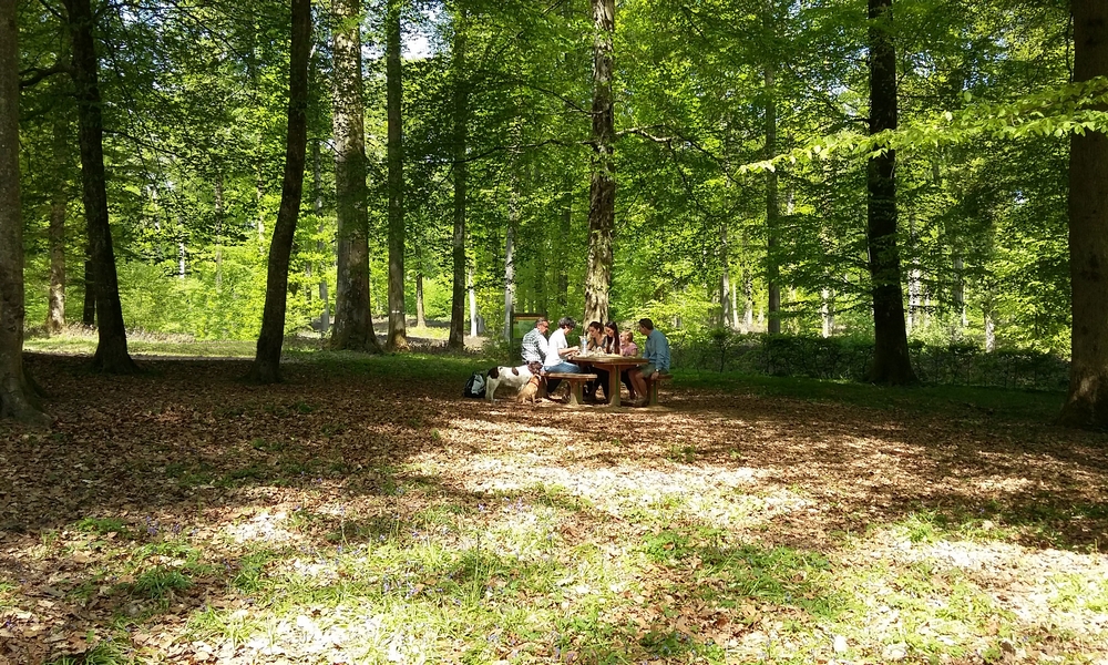 Aire de pique-nique de Malva - foret de Retz