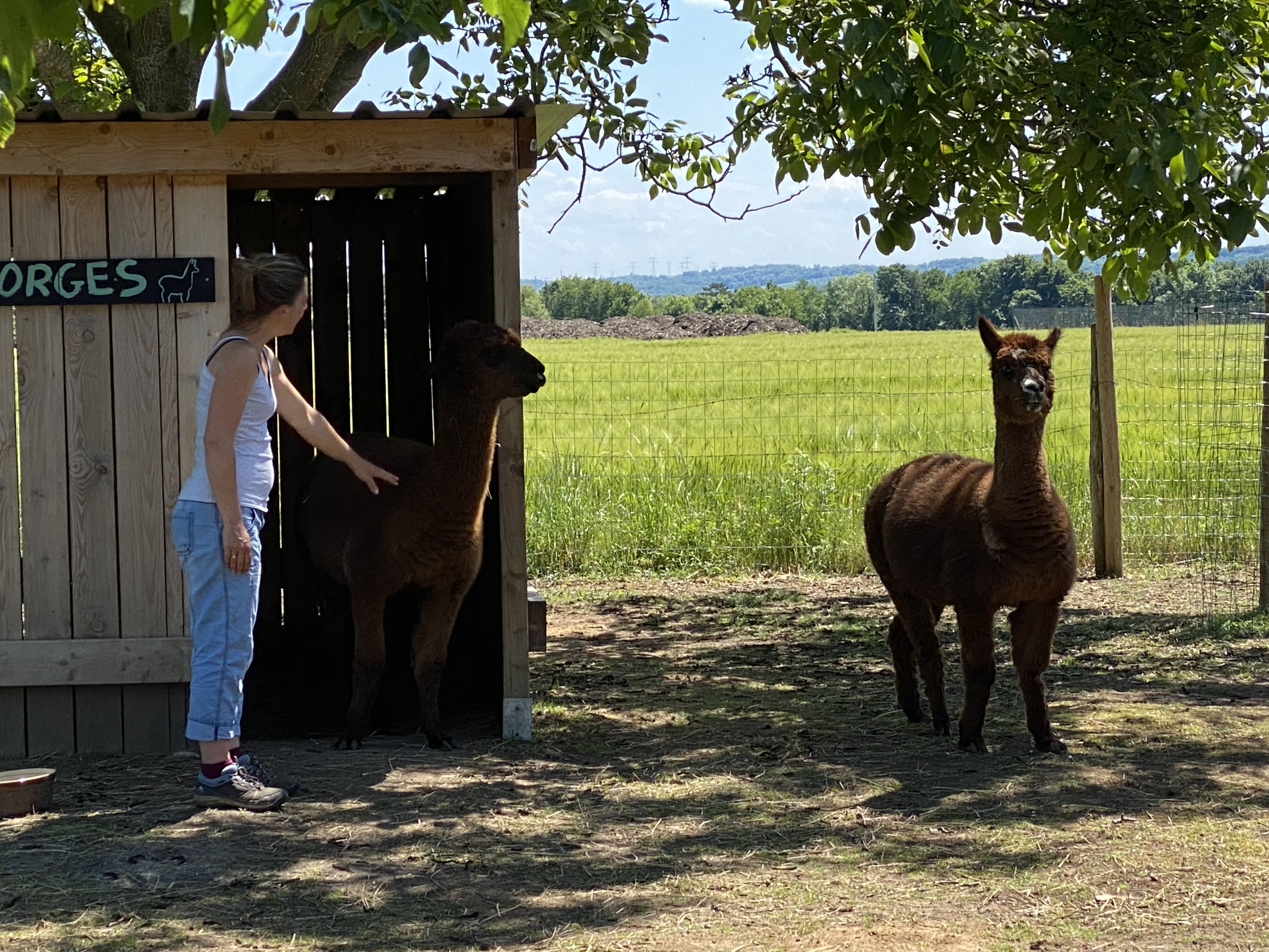 La Ferme d'Animation du Larris