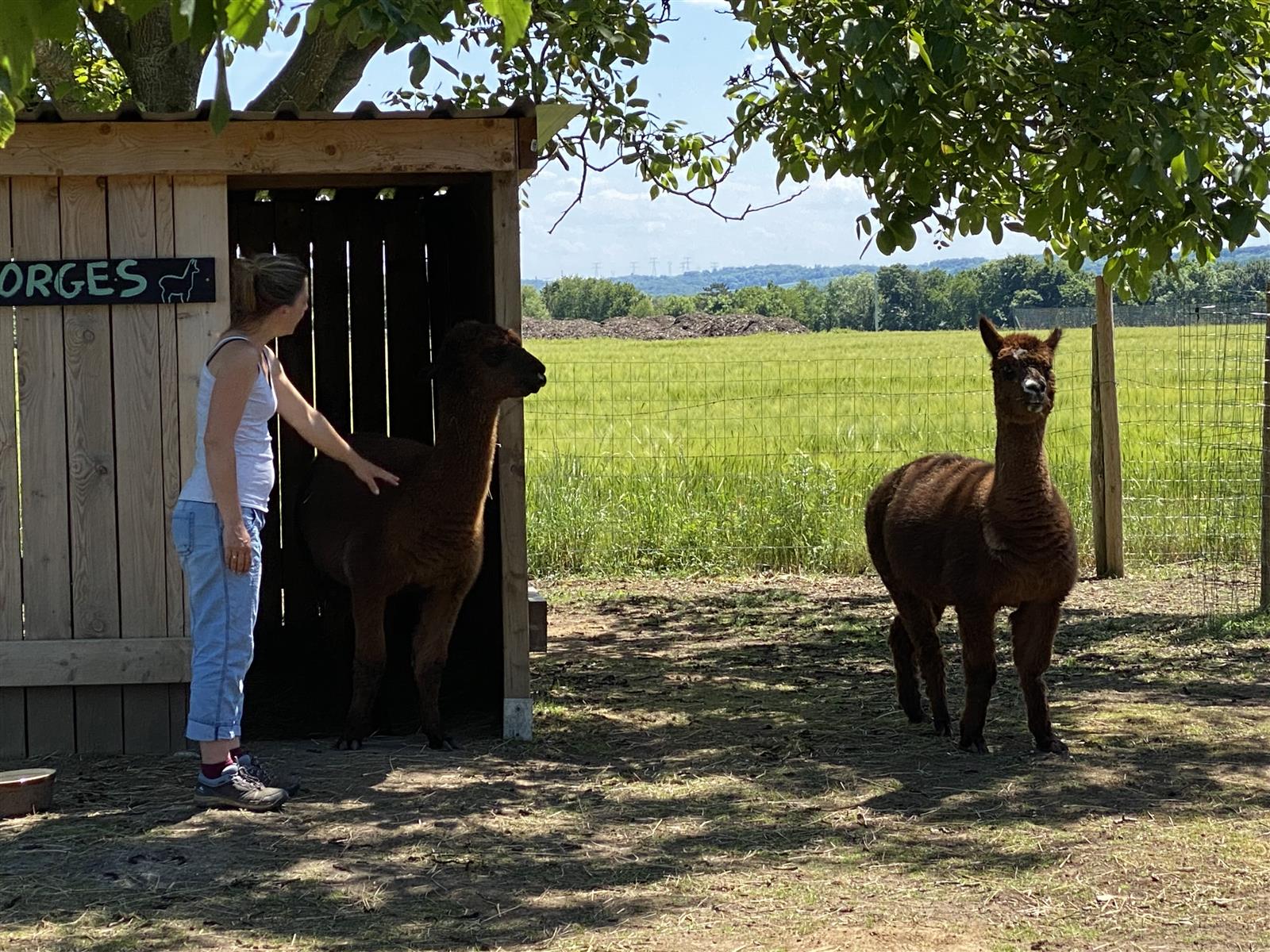 Ponchon La Ferme du Larris
