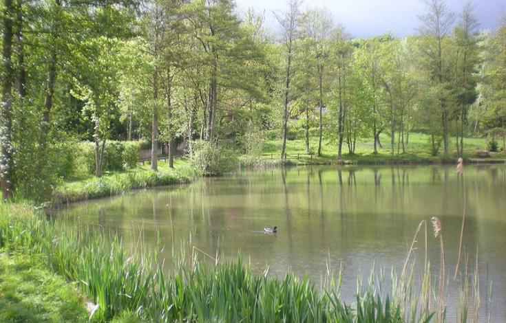 Rando235_VignesdeFay_Etang de Faÿ