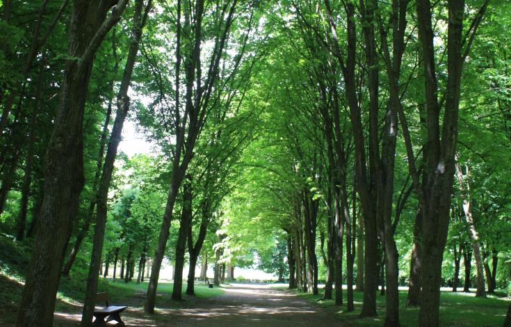 Rando235_VignesdeFay_ParcDuChatellier_Clermont