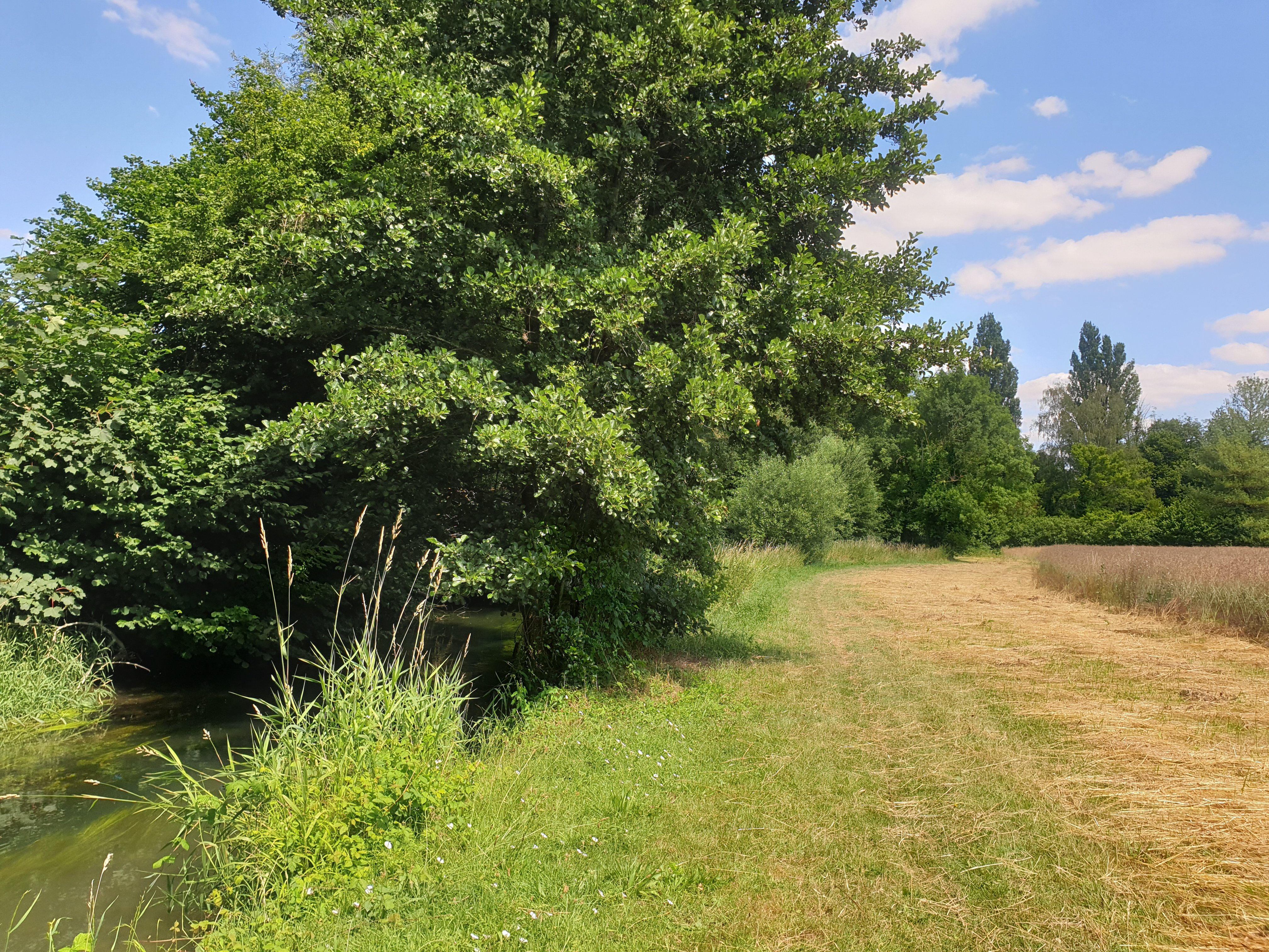 Du mont Volant aux Ployes