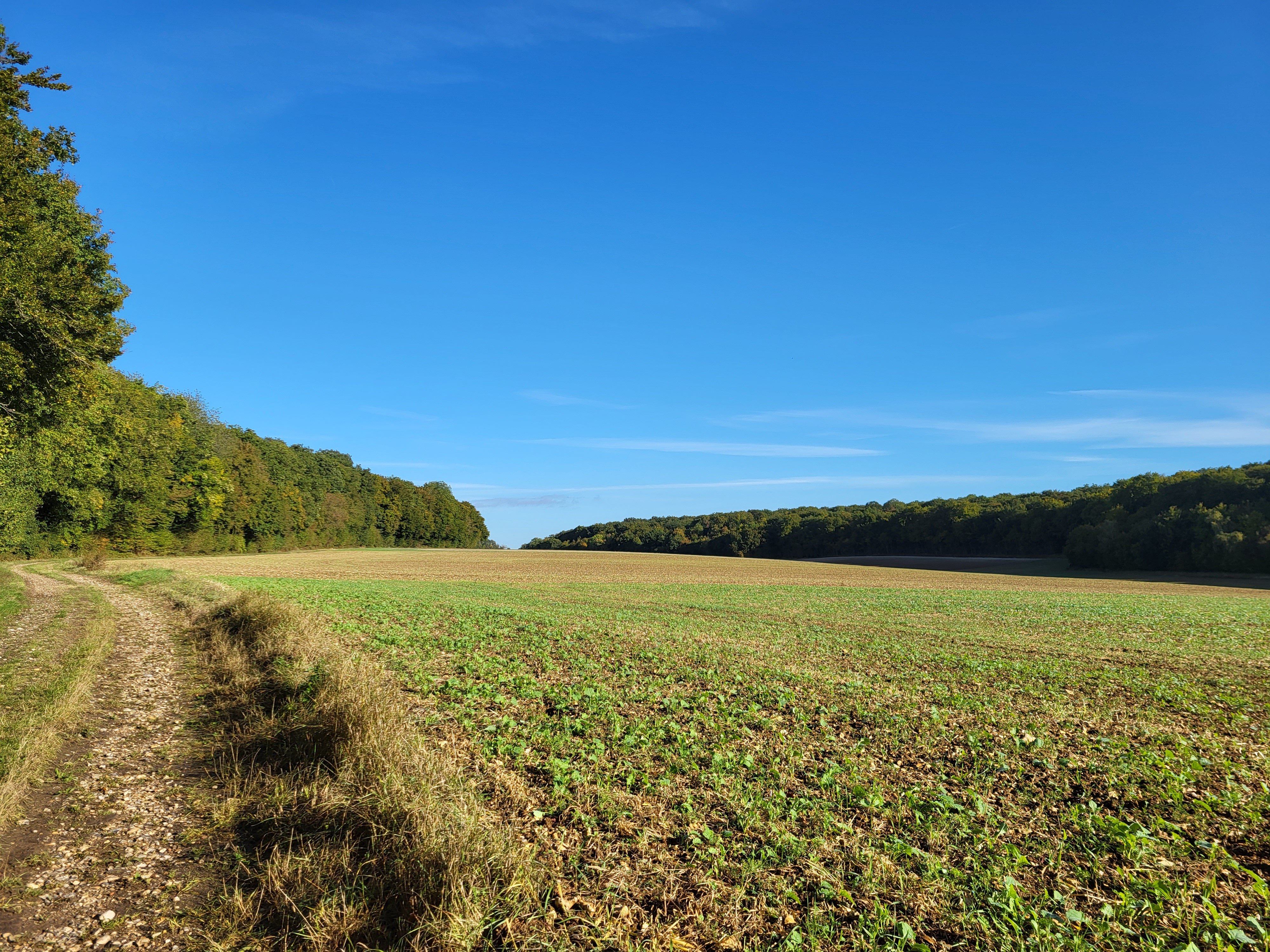 Le rû de la Liovette, Guignecourt - photo 2