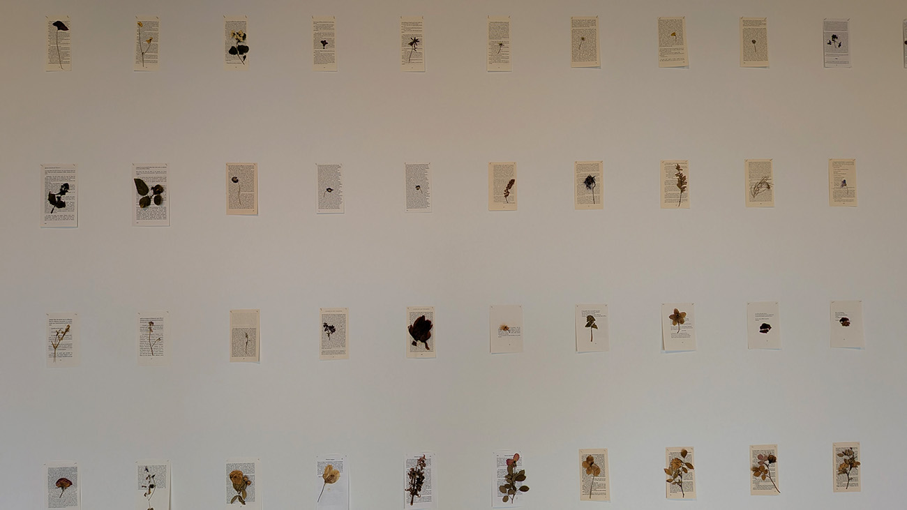 Exposition à Laon : "Il y a des fleurs partout pour qui veut bien les voir"