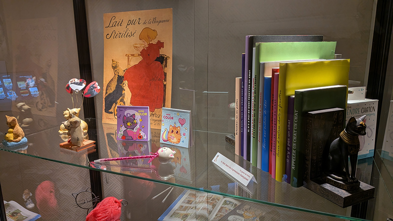 Exposition à Laon : "Chat, chat, chats !" à Laon