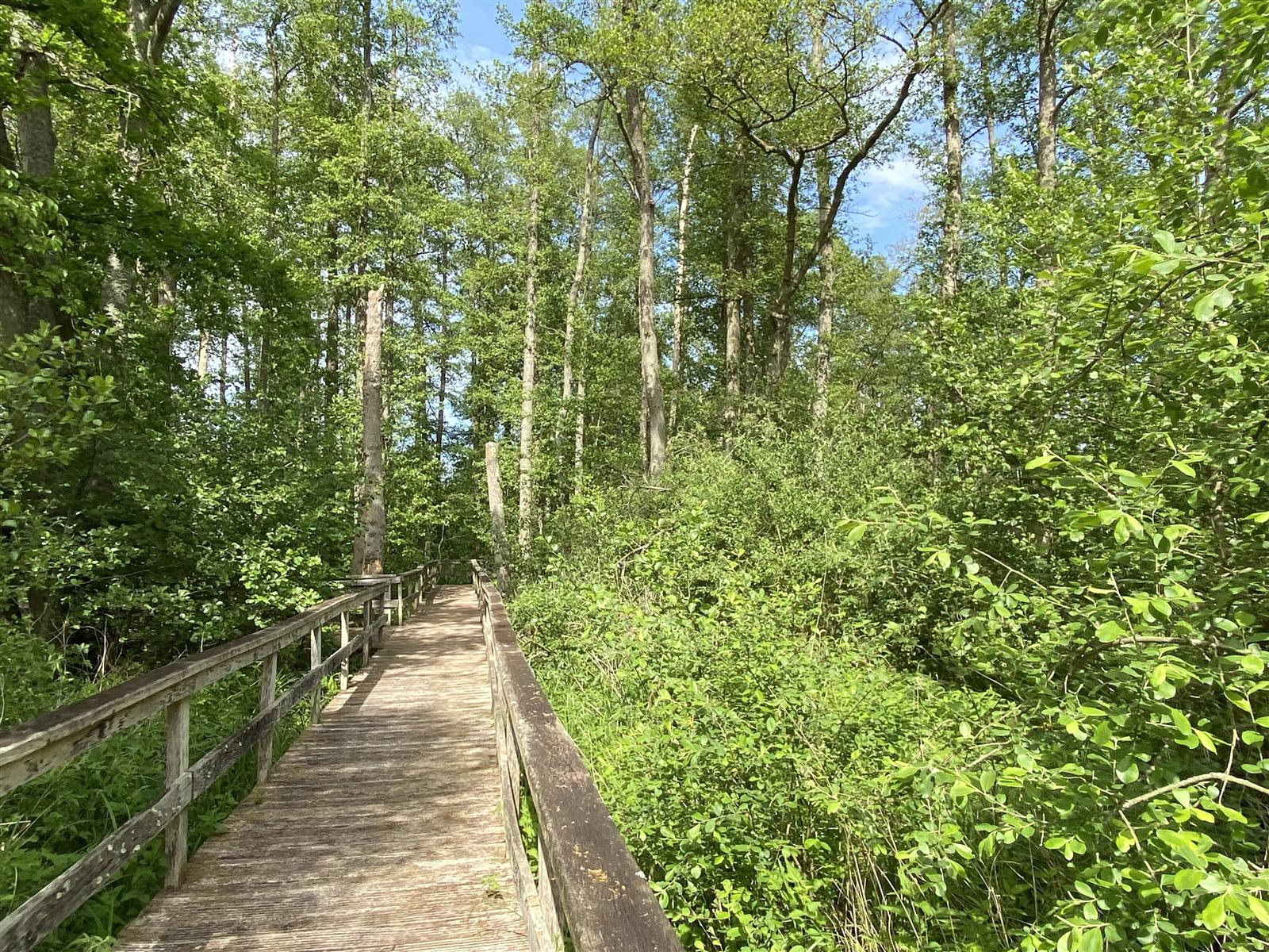 Saint-Pierre-ès-Champs