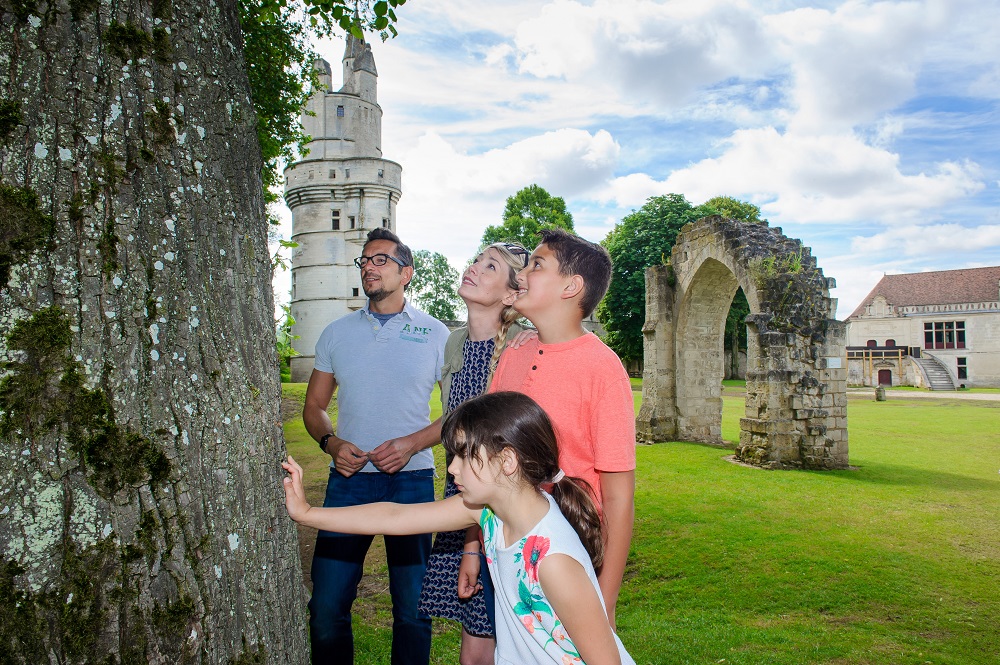 Le donjon de Septmonts < Septmonts < Aisne