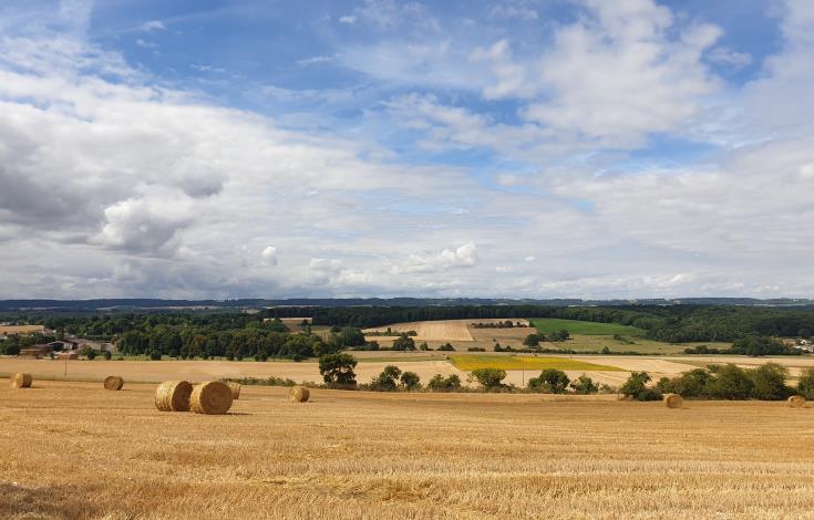 St_Martin_le_Noeud Campagne Paysage