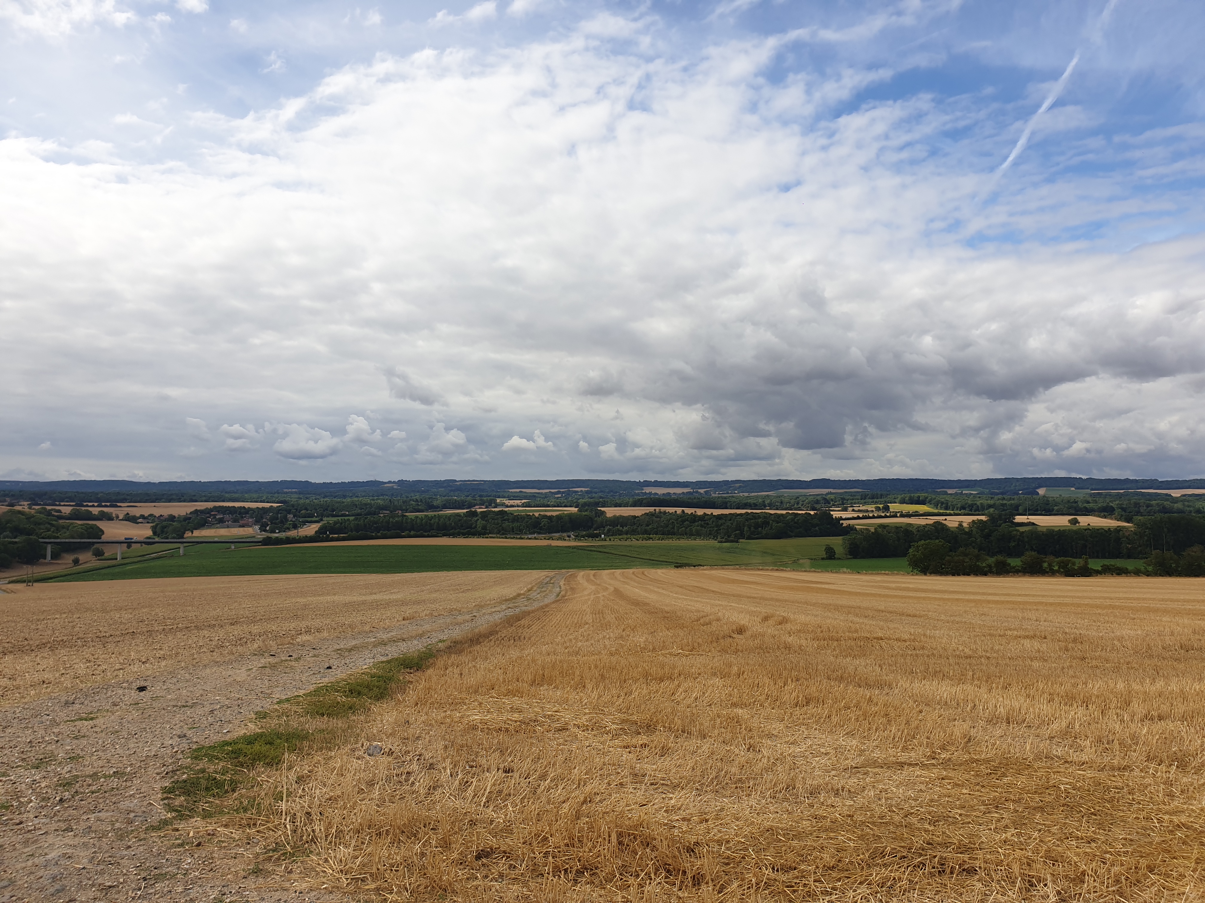 De la grande prairie au bois de la grange, Saint-Martin-le-Nœud - photo 2