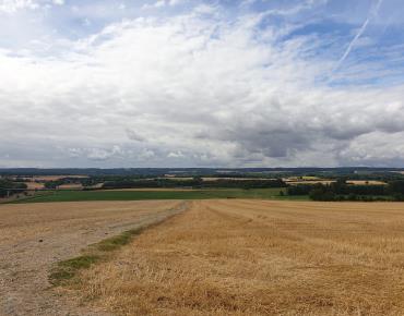 St_Martin_le_Noeud Campagne Paysage