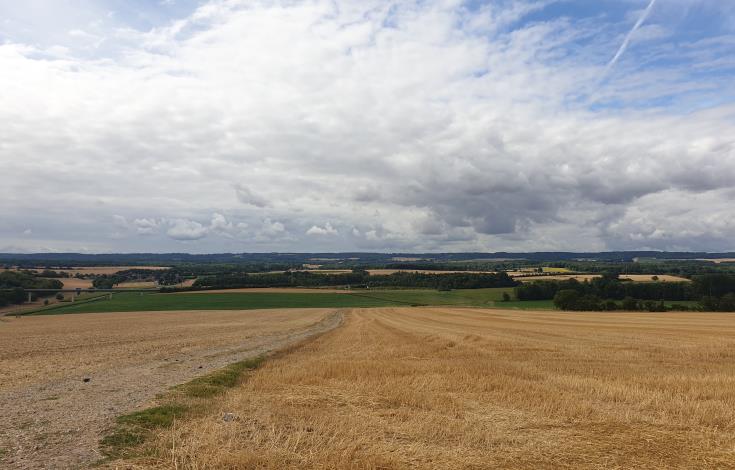 St_Martin_le_Noeud Campagne Paysage