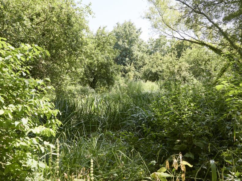 Talmontiers_Jardin du naturaliste_©Laurent MAYEUX (4)