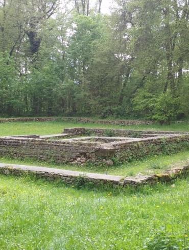 Forêt d'Halatte