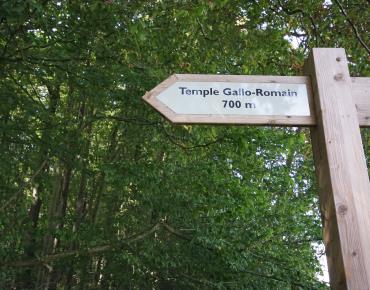 TempleGallo-Romain_Ognon
