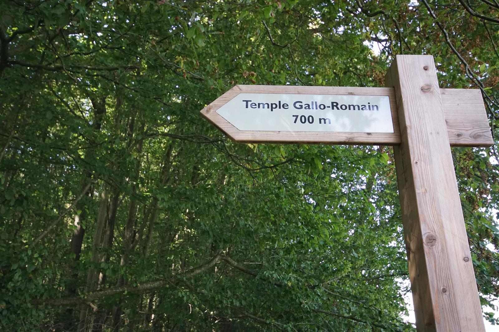TempleGallo-Romain_Ognon