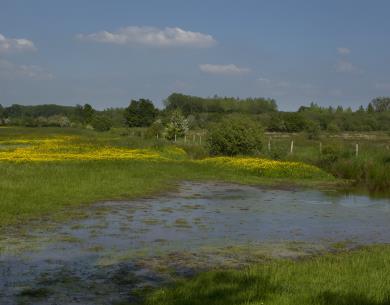 les patures de villers sur auchy et  saint germer de fly