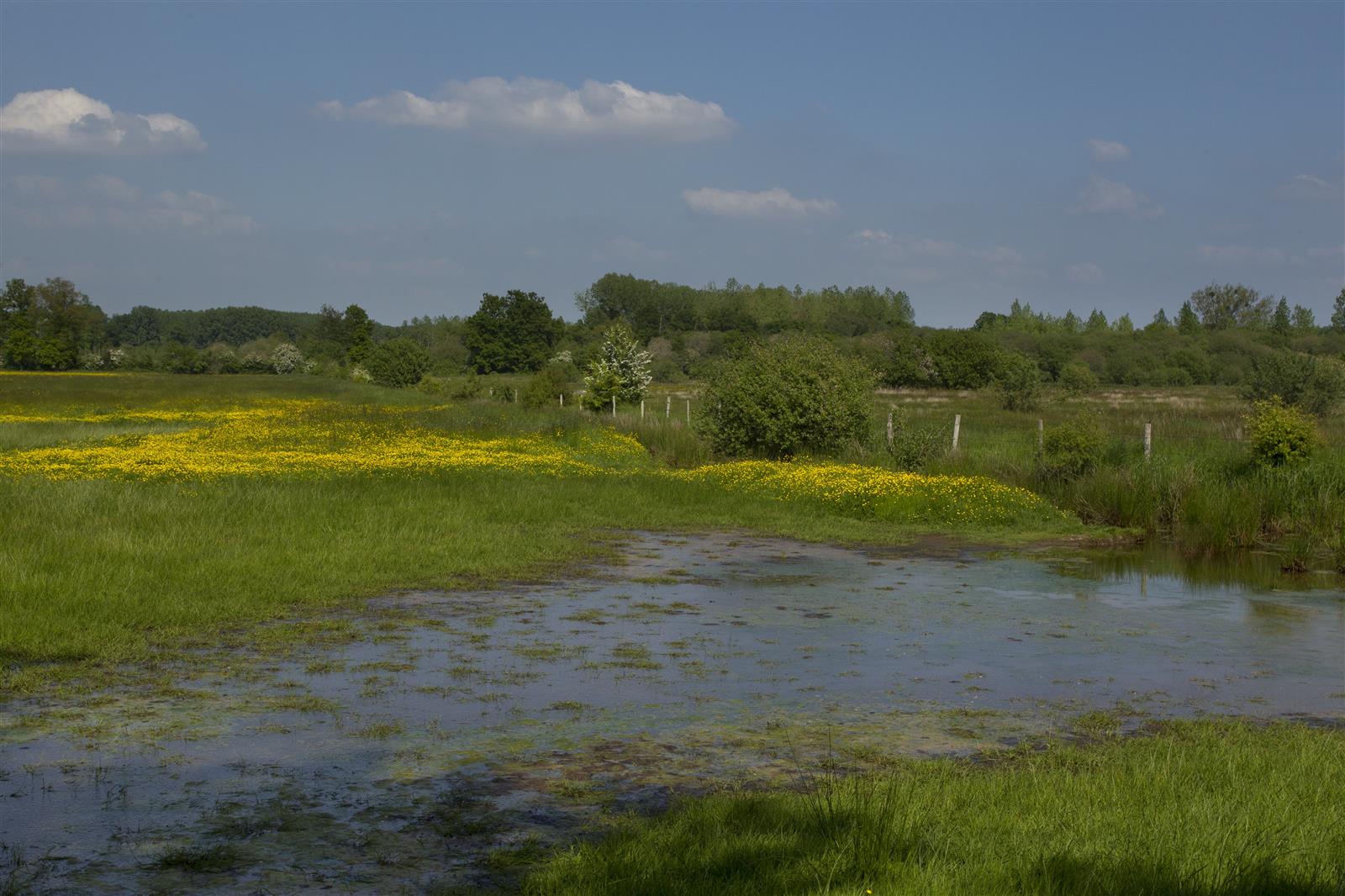 les patures de villers sur auchy et  saint germer de fly