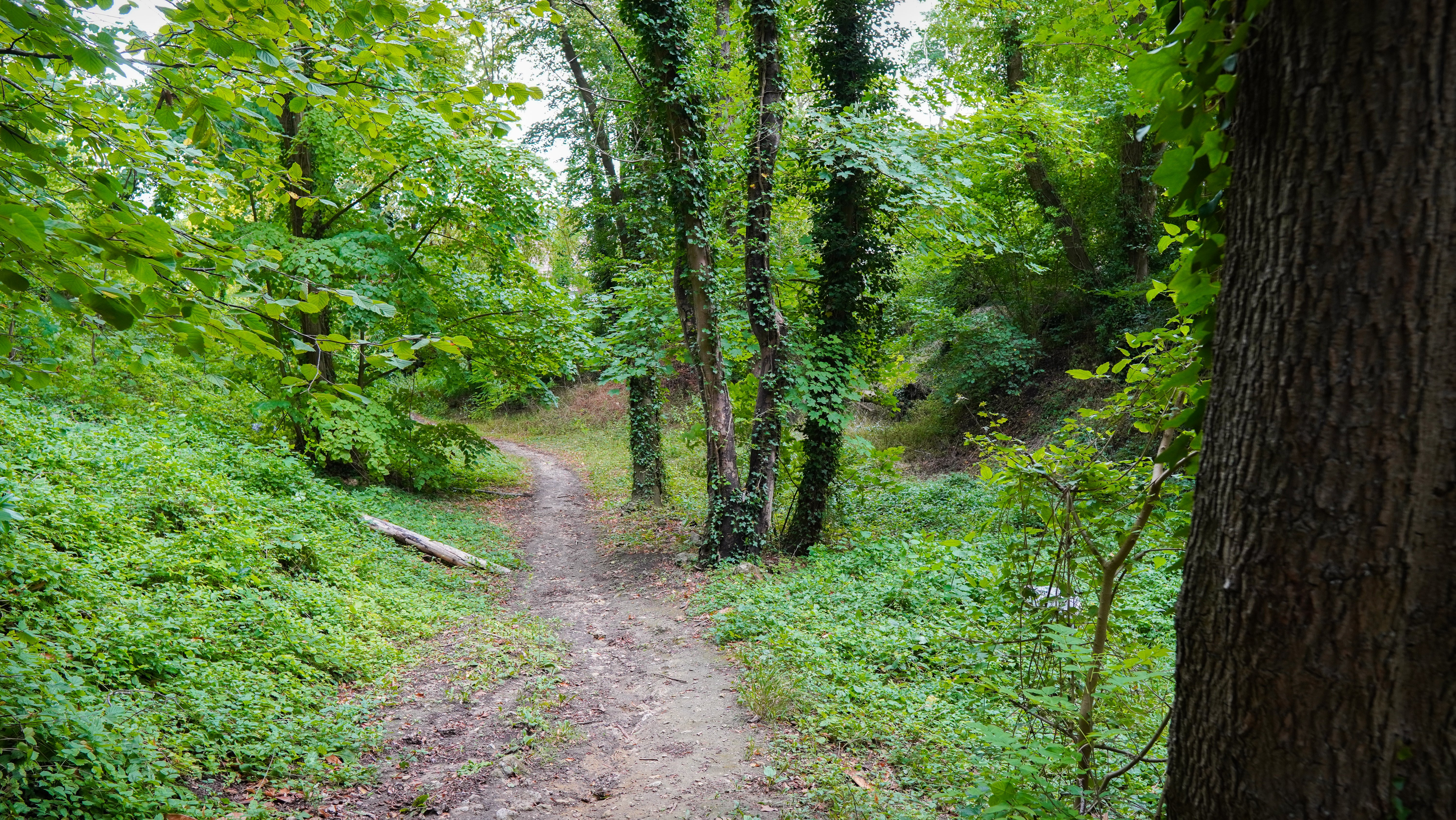 La Croix Méfroid, Villers-Saint-Paul - photo 2
