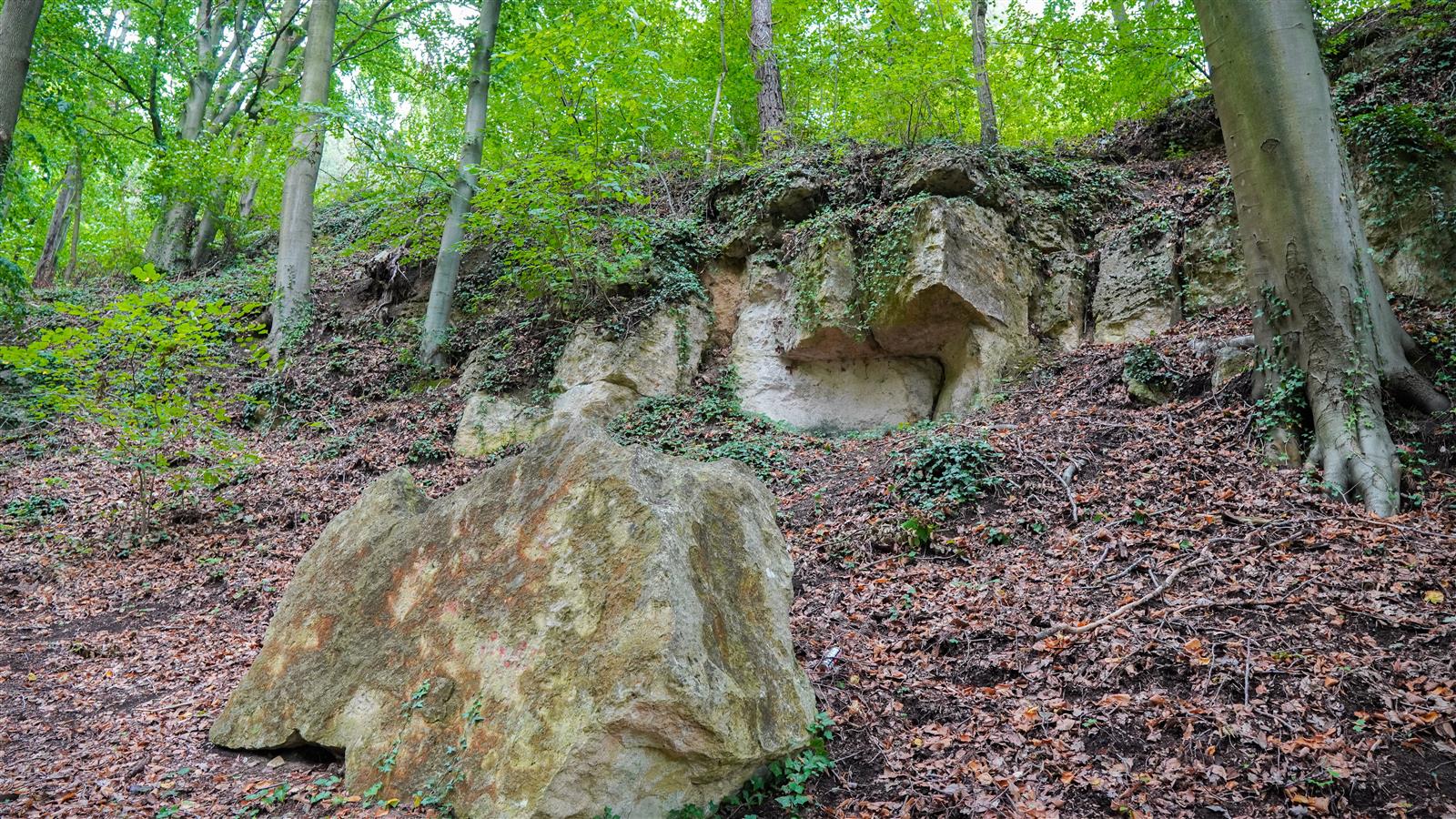 Villers Saint Paul_Randonnée La Croix Méfroid entre bois et champs