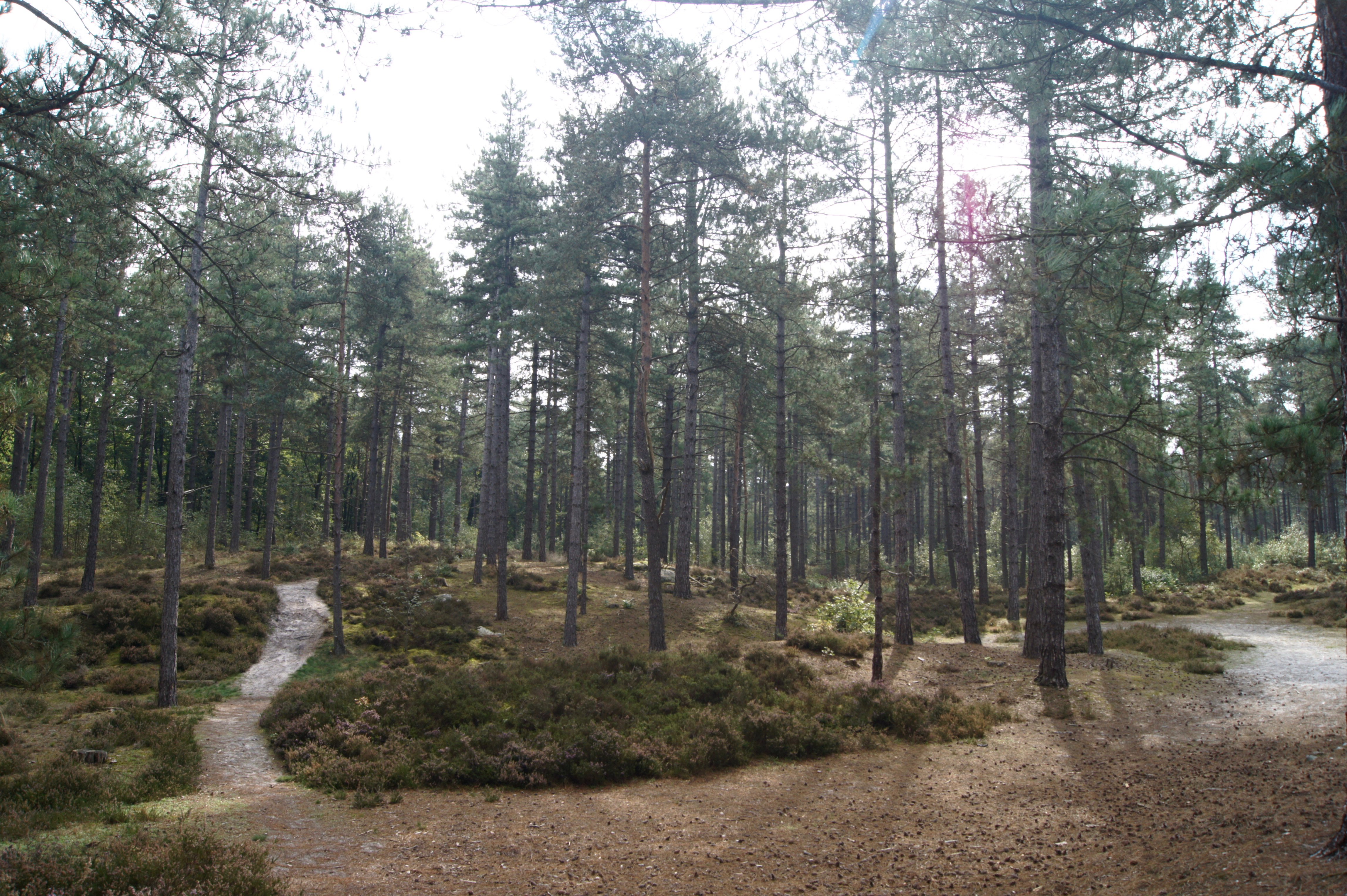 Visite prépa sentier_RM