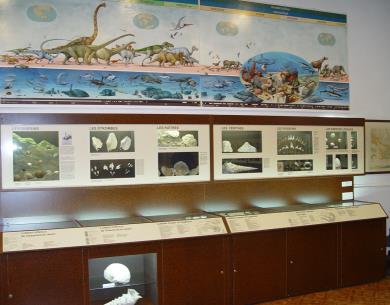 Paléotologie
