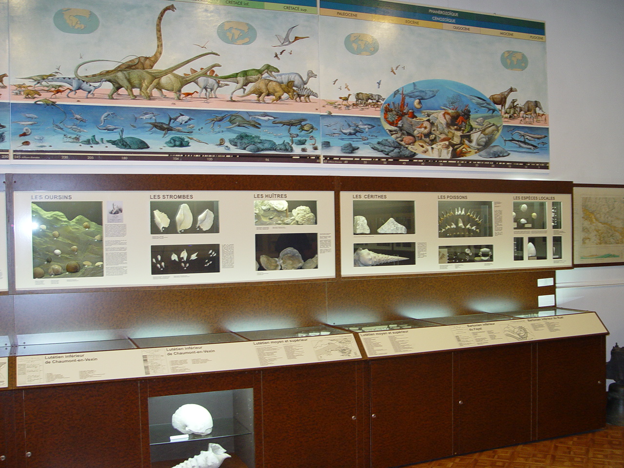 Paléotologie