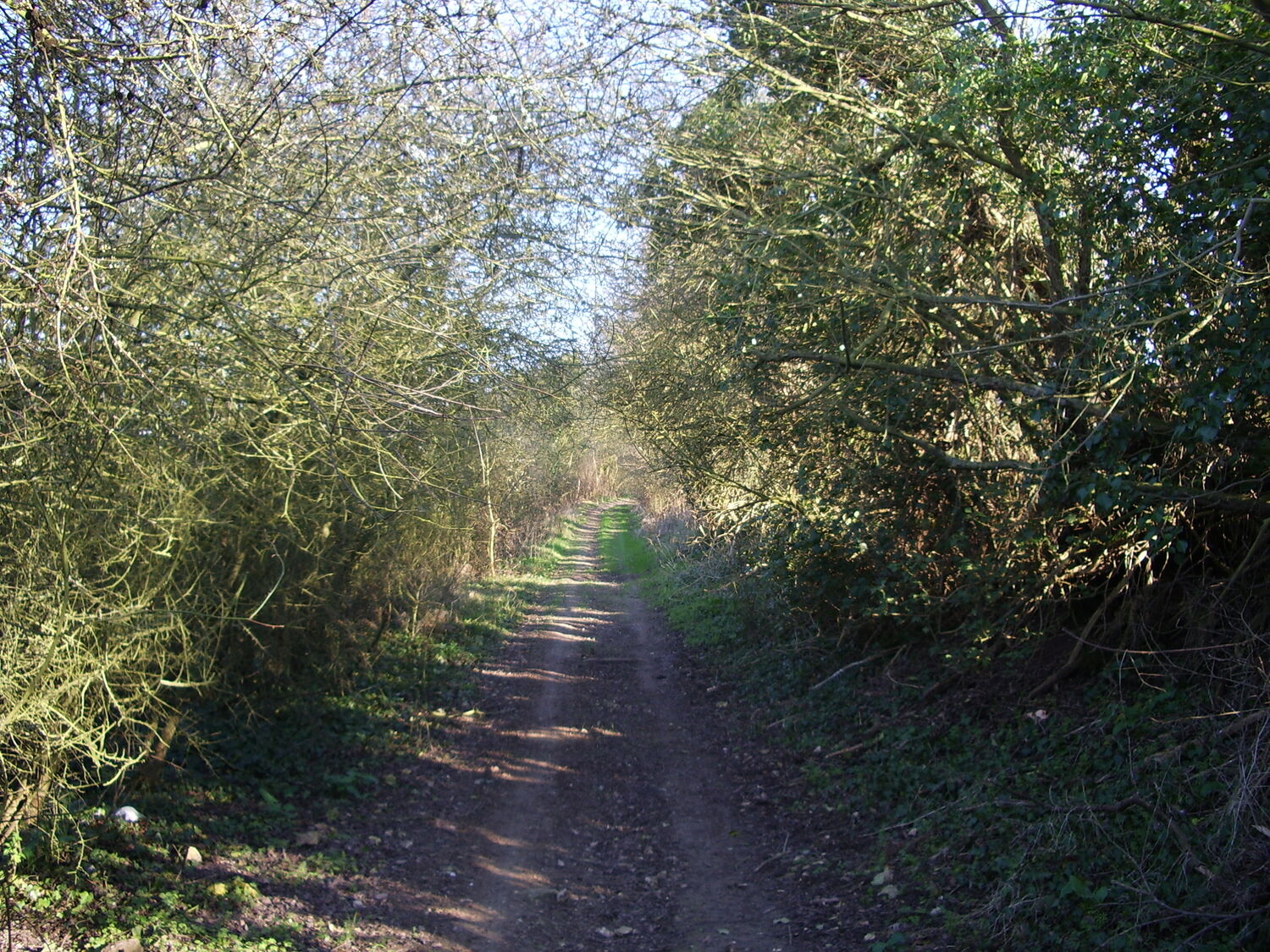 Les Voies Romaines à Paillart, Paillart