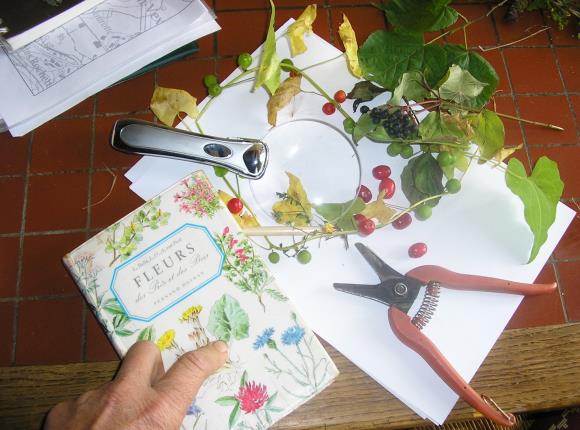 table de travail