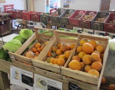 auxjardinsdesacy-boutique-sacylegrand