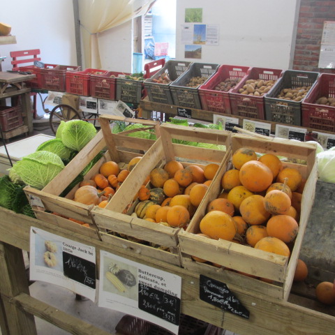 auxjardinsdesacy-boutique-sacylegrand
