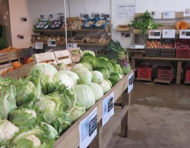 auxjardinsdesacy-magazin-sacylegrand