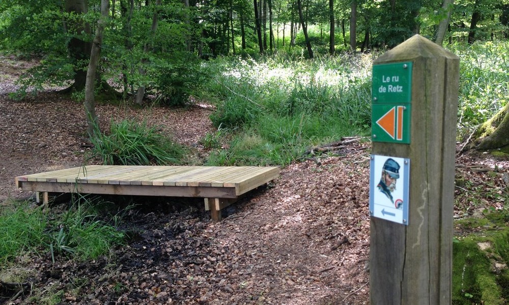 balade de 14 à 18 en forêt de Retz