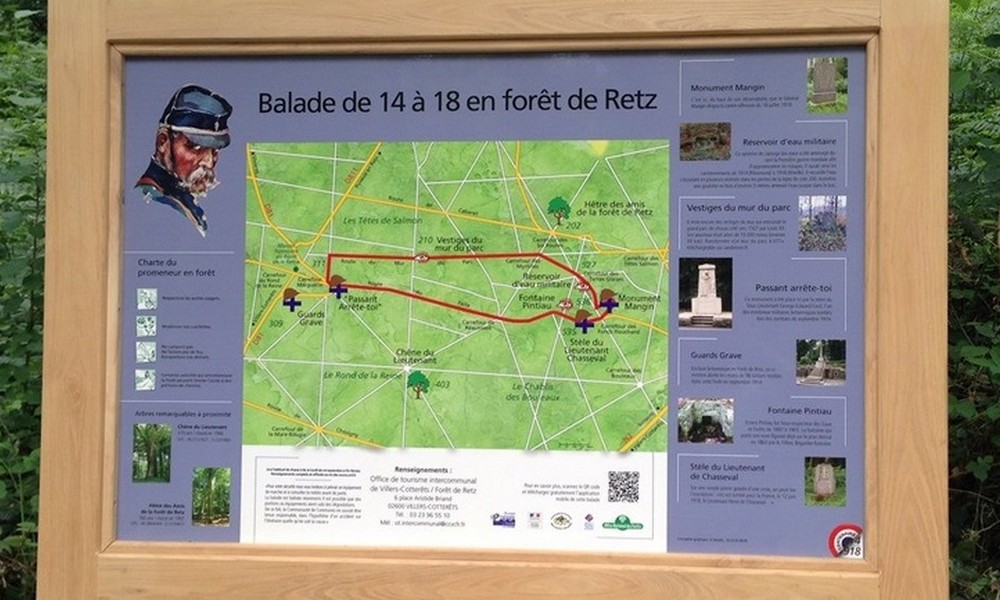balade de 14 à 18 en forêt de Retz