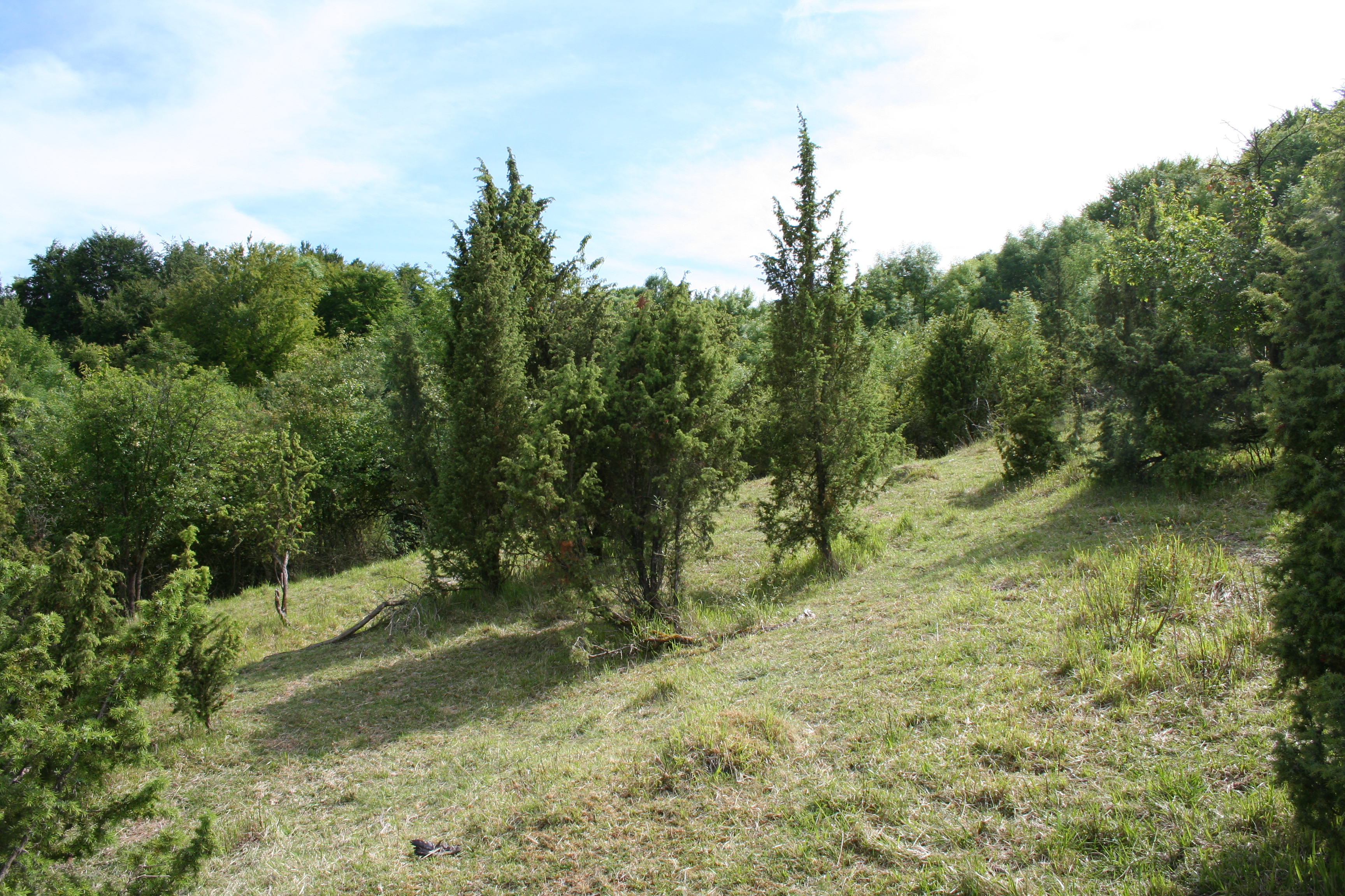 Les Larris d'Auteuil