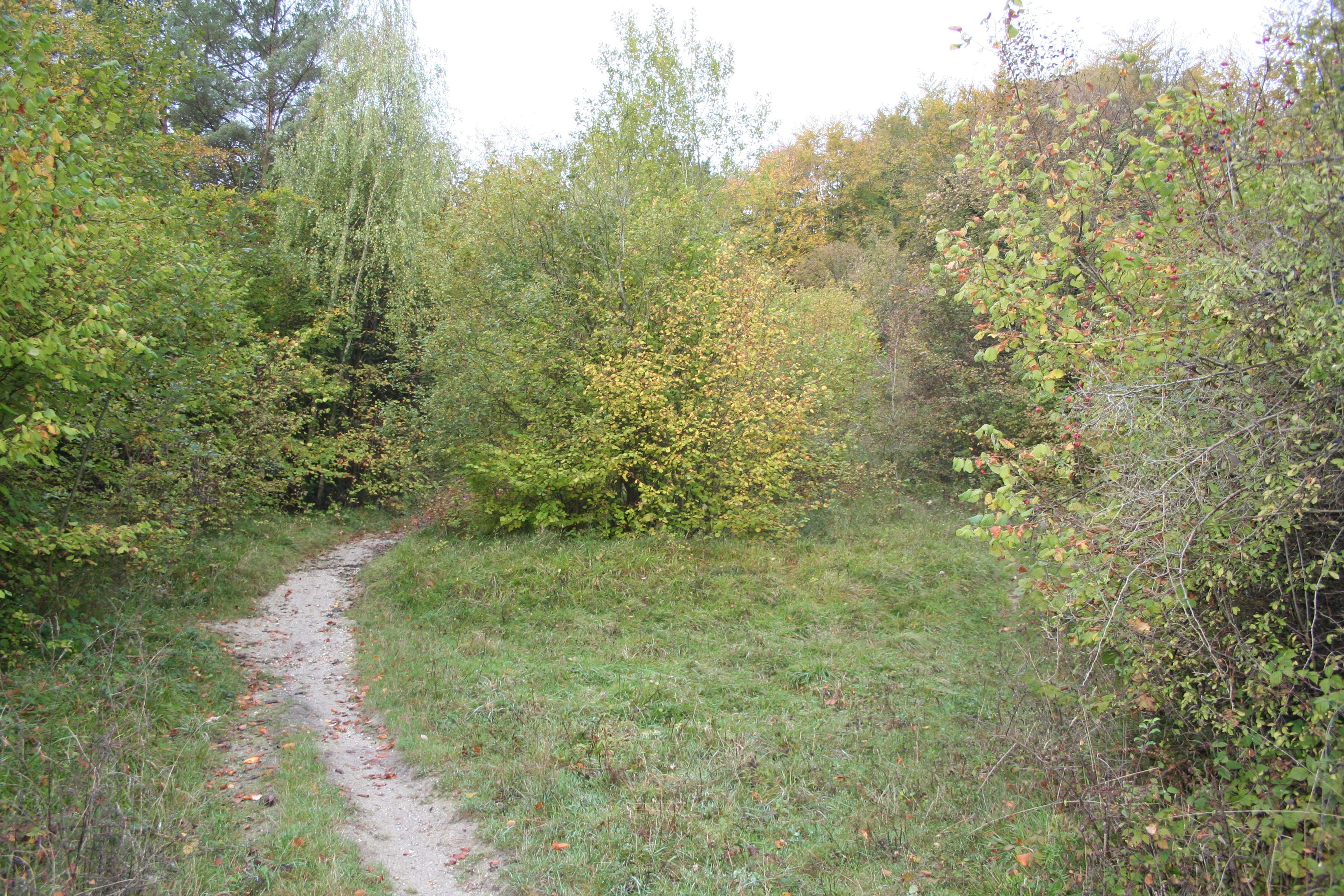 Les coteaux du Thérain