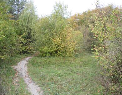 Fouquenies