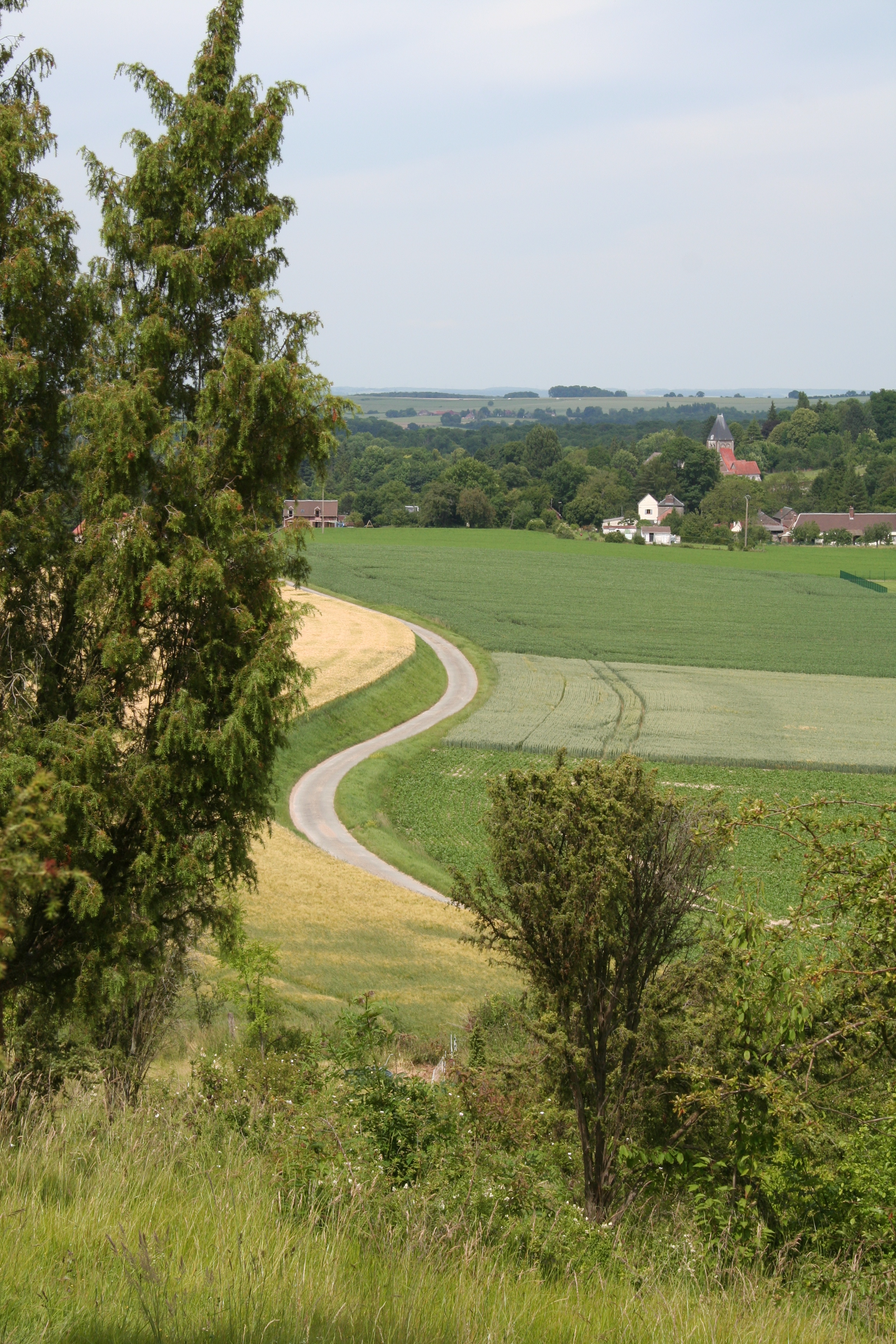 Le Mont Florentin