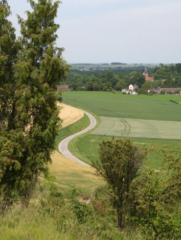 Le Mont Florentin