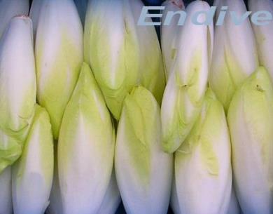 endives Postolle