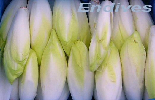 endives Postolle