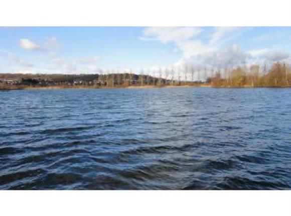 etang©jurassik kipe
