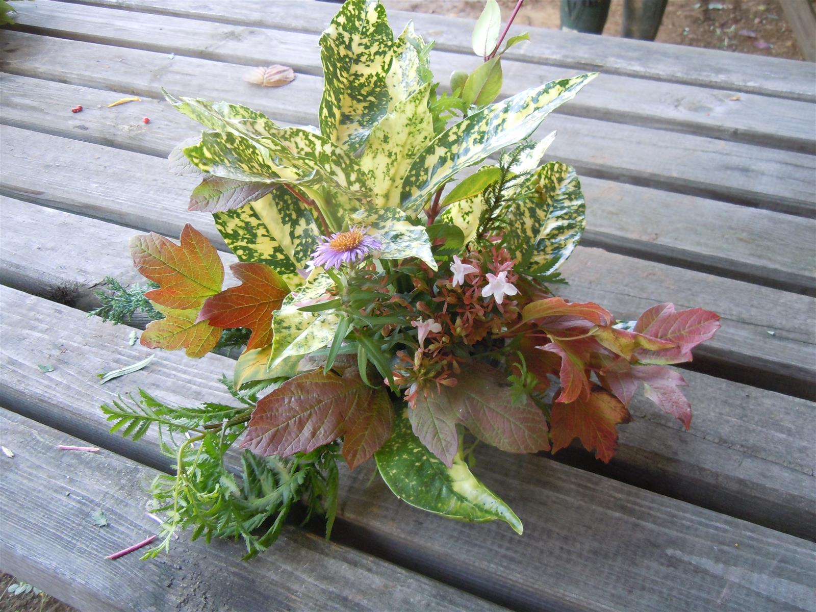 feuillage et art floral