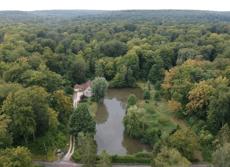 Nid dans la forêt_Site internet